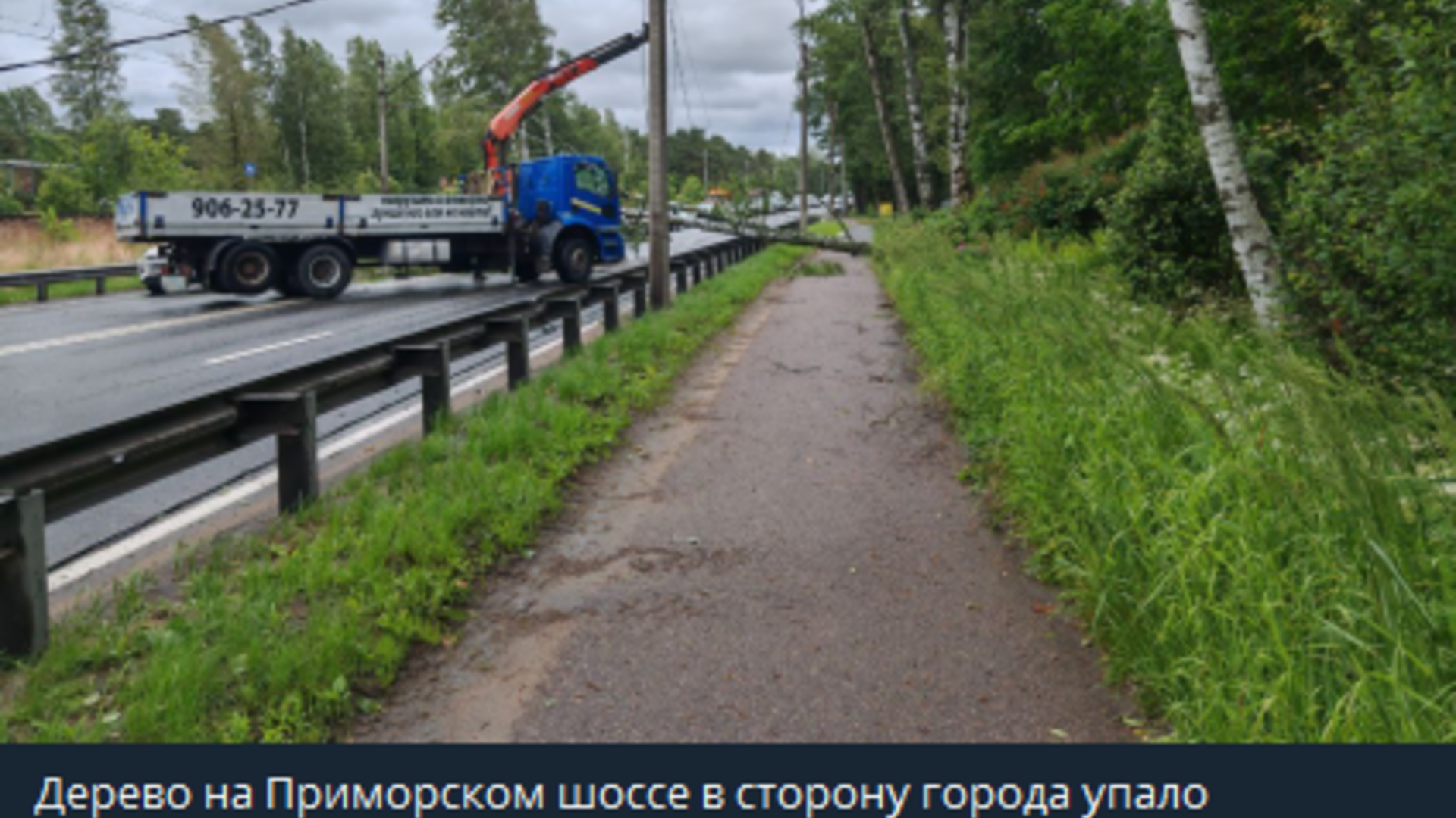 Власти Петербурга настоятельно призвали граждан не посещать парки и скверы из-за непогоды