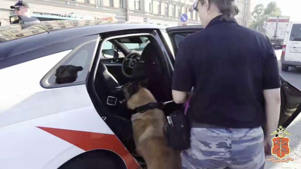 Полиция выявила в центре Петербурга 26 мигрантов, нарушивших закон о пребывании в РФ