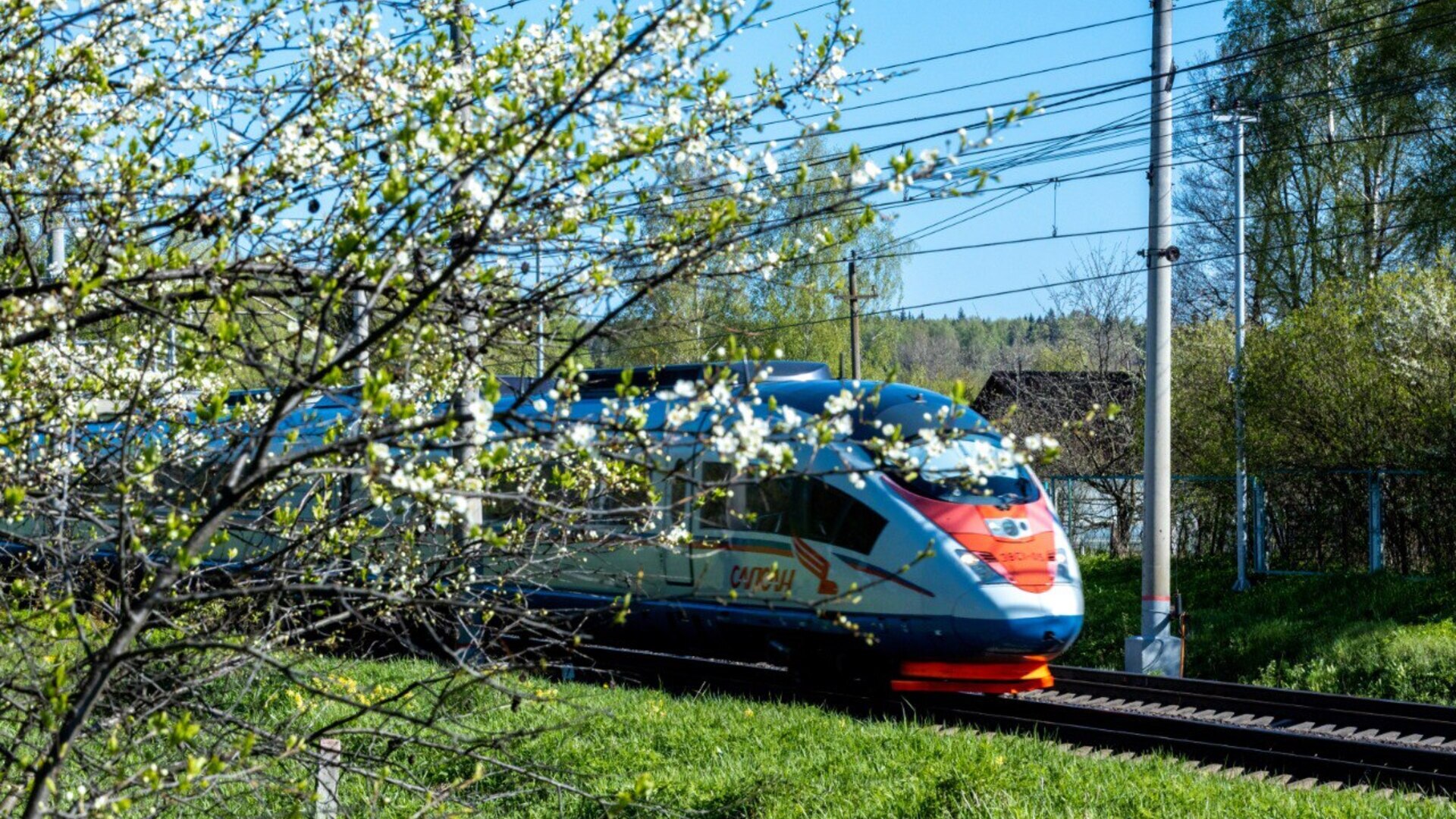 Дополнительный «Сапсан» отправят 21 июля из Петербурга в Москву из-за отмены авиарейсов