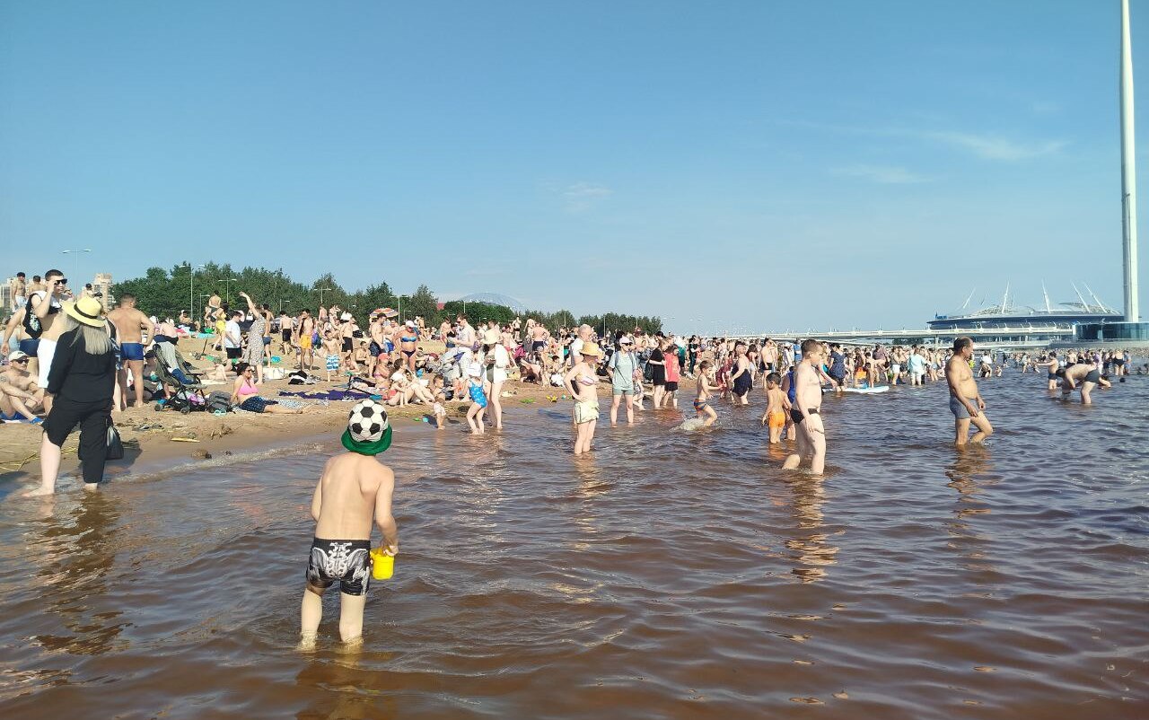 Пригодных для купания мест в Ленобласти оказалось вдвое больше, чем в Петербурге