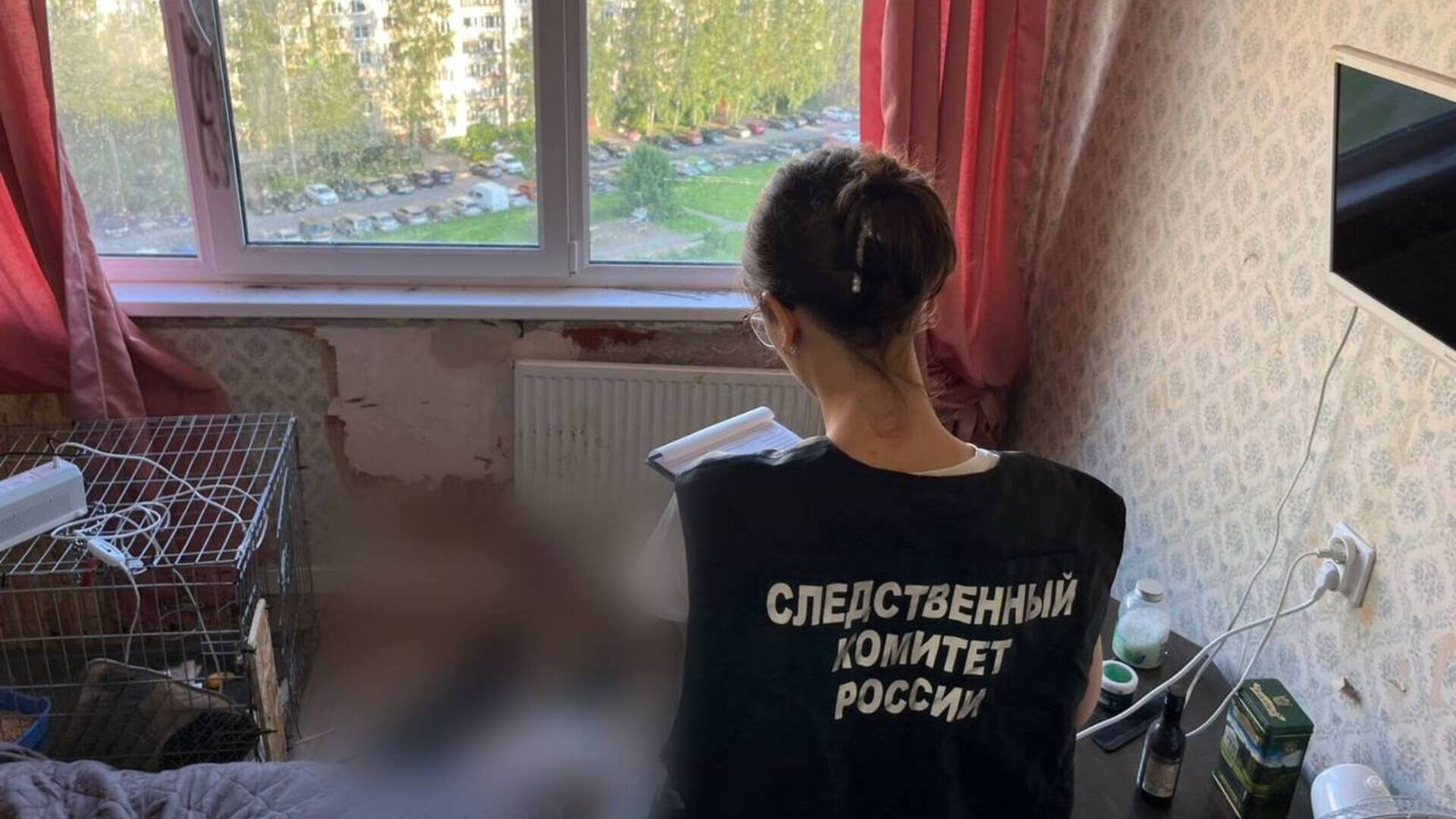 Петербургский суд заключил под стражу женщину, обвиняемую в убийстве своей матери на улице Доблести