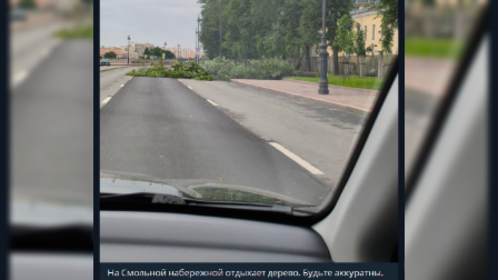 Упавшие деревья и сорванные куски крыши: первые последствия «желтого» уровня погодной опасности в Петербурге