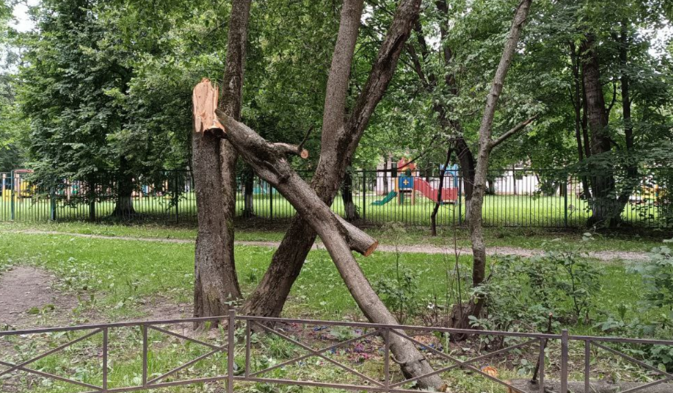 «Немного освежит»: Петербург снова накрыло ураганным ветром