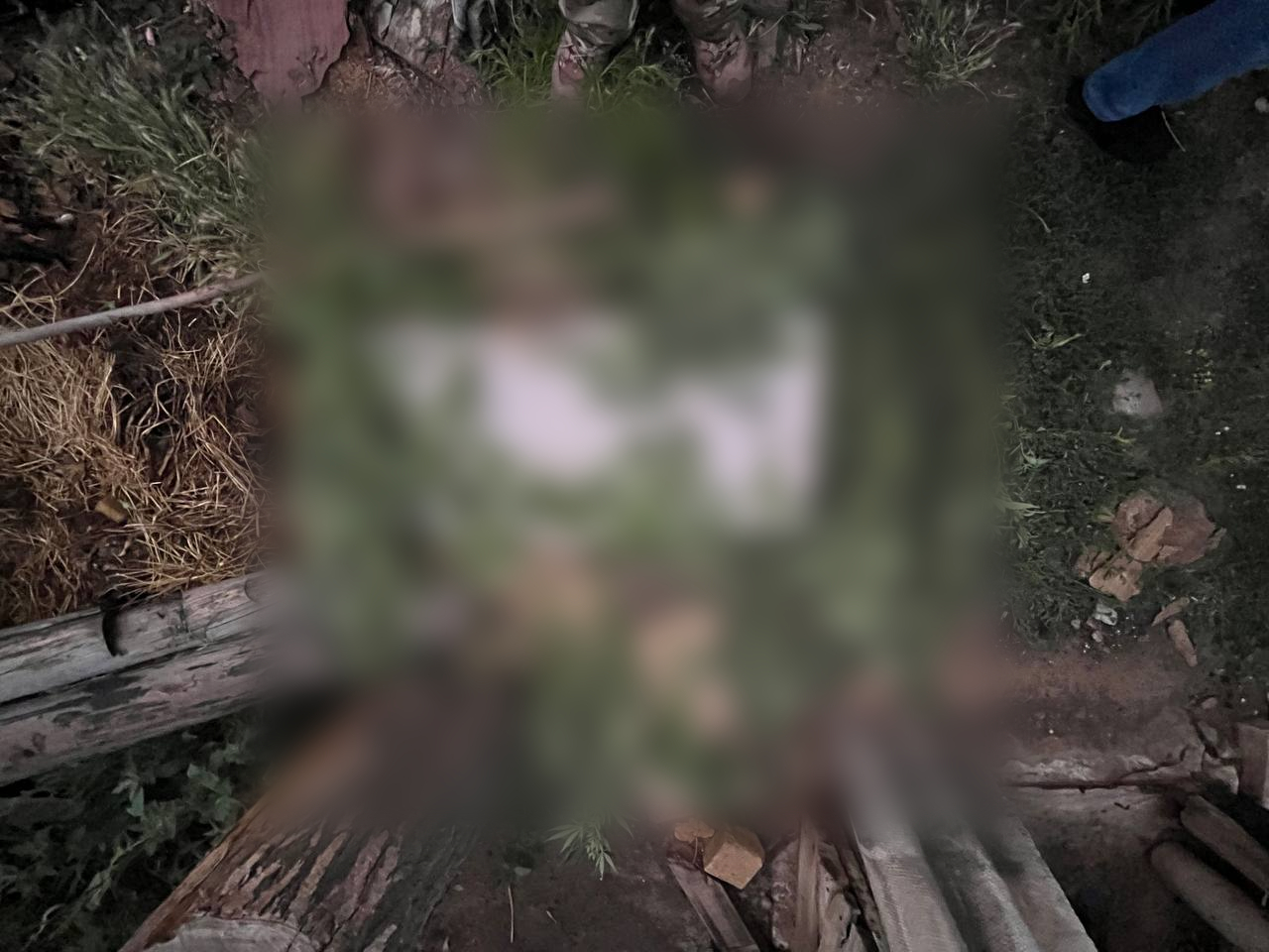 Полиция Запорожской области изъяла 17 веток конопли у местного жителя