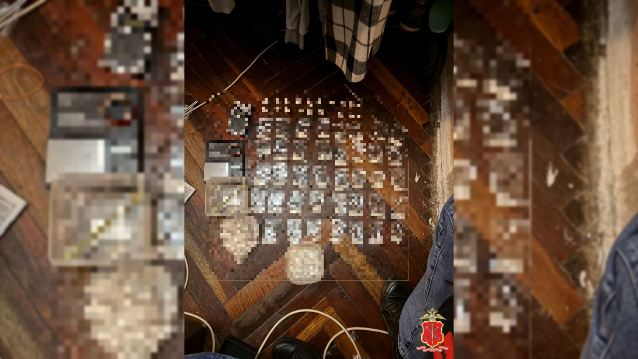 В доме у петербуржца, подозреваемого в краже, обнаружили более 340 граммов наркотиков