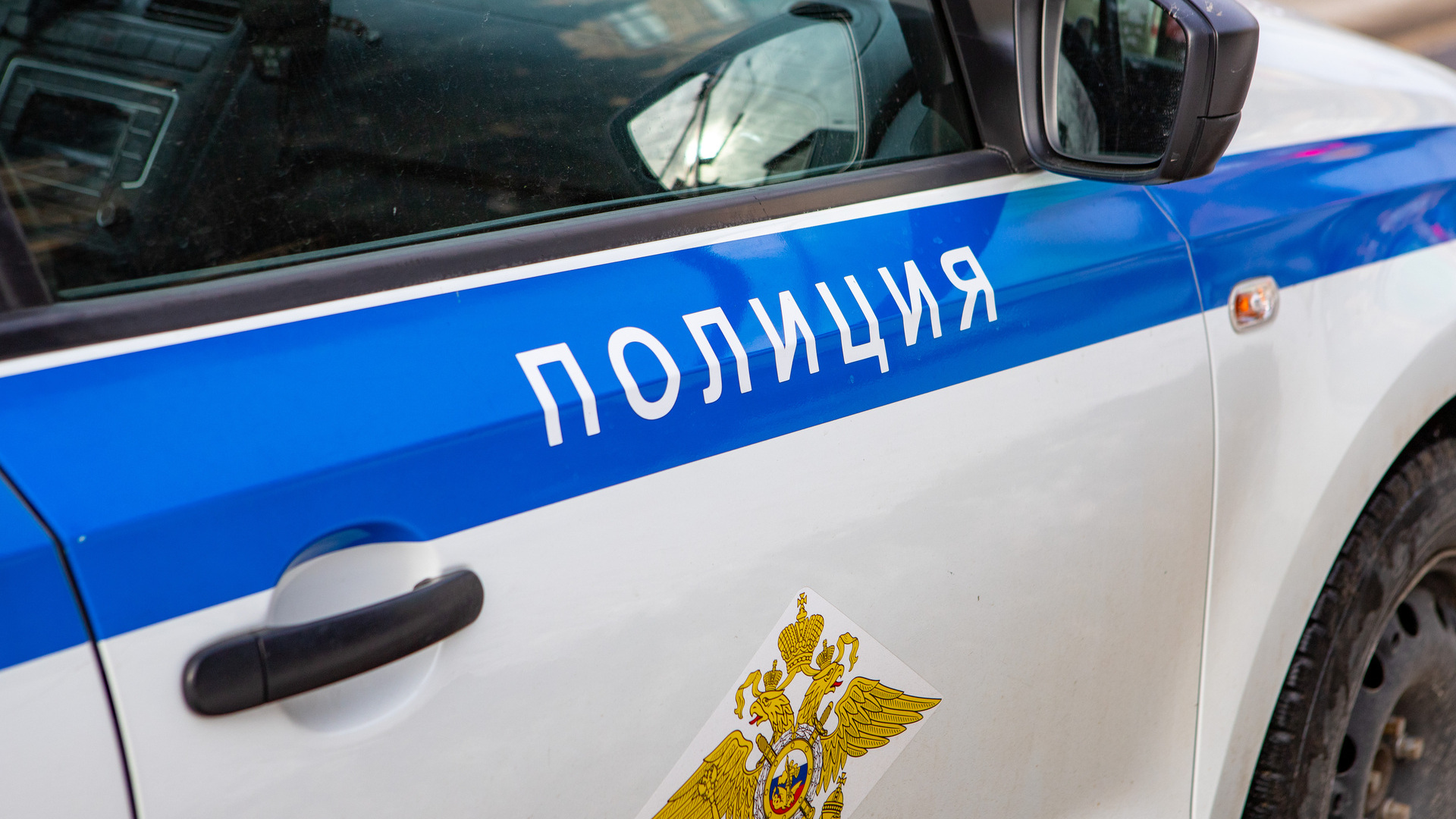Уголовное дело могут завести на участников драки со стрельбой у станции метро «Проспект Просвещения»