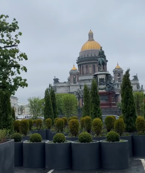 Исаакиевскую площадь в Петербурге в День города украсили 5 тысяч цветов