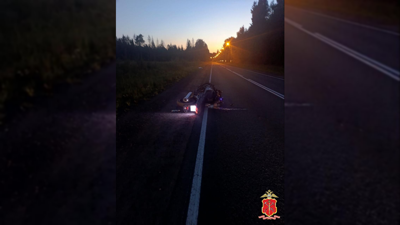 Двое на мотоцикле погибли на месте после аварии с лосем под Всеволожском