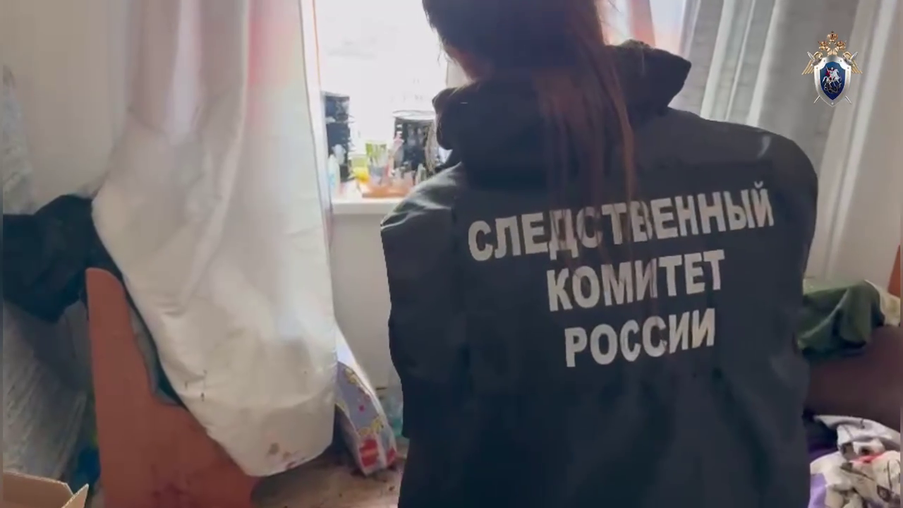 Петербургский СК задержал подозреваемых в убийстве на проспекте Просвещения
