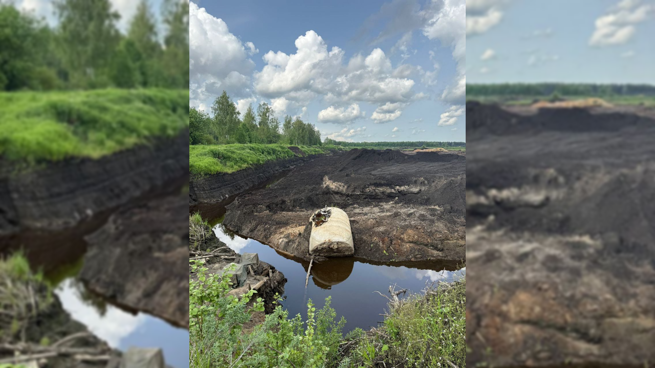 Прокуратура Ленобласти вызвала в суд «Марта Модуль-8» из-за размещения незаконной свалки в охранной зоне
