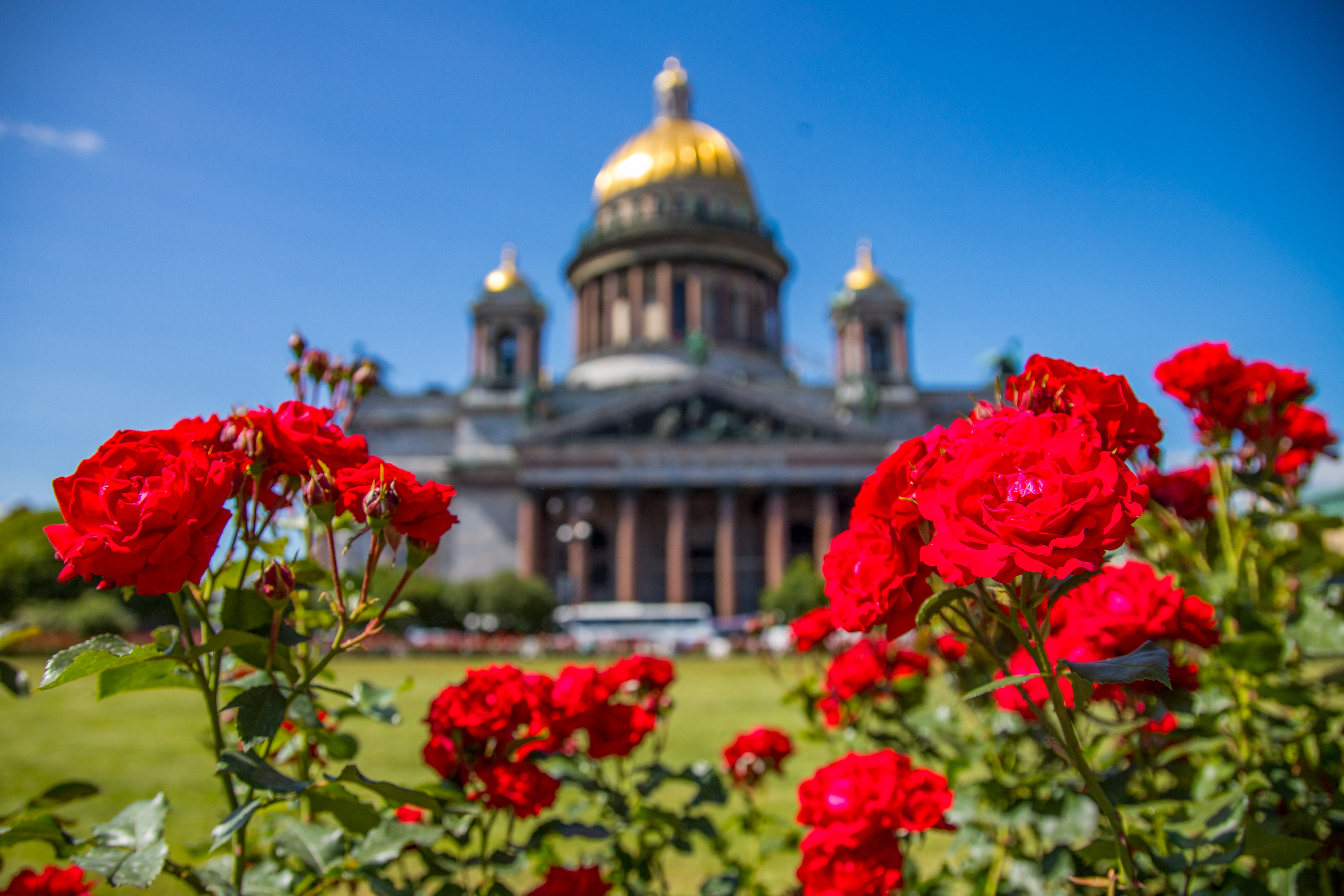 Открывших стрельбу из сигнального пистолета по Исаакиевскому собору задержали