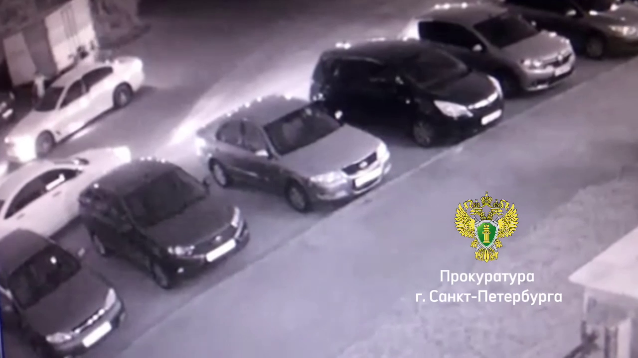 Иностранцу предъявили обвинение в убийстве в Петербурге четырехлетней давности