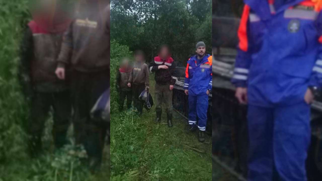 Спасатели вывели из ночного леса троих мужчин