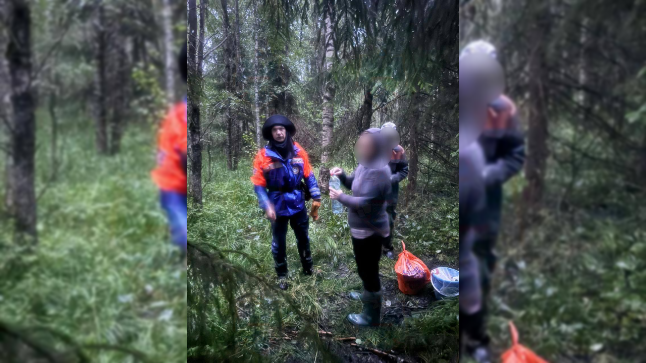 Спасатели Ленобласти вывели из леса двух заблудившихся туристов