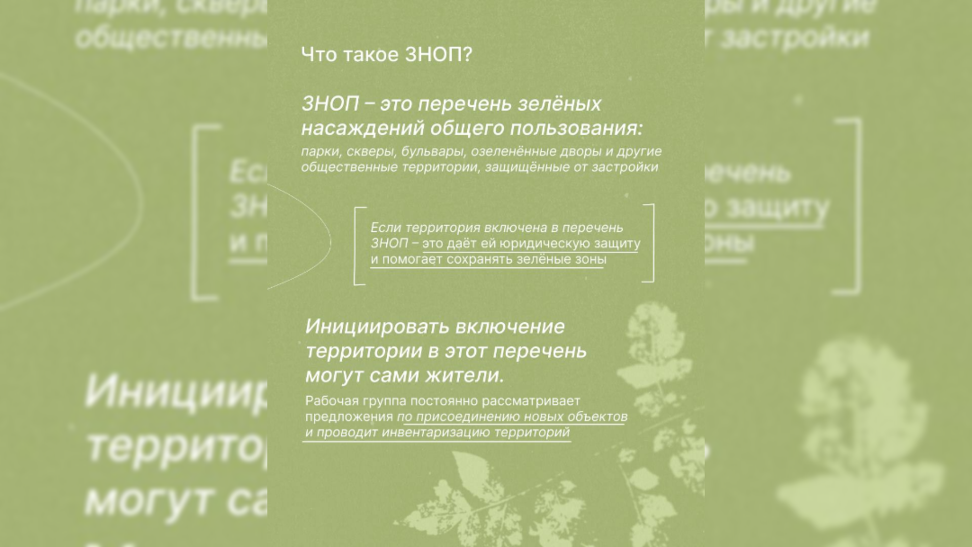 Смольный защитил от застройки более 150 новых зеленых территорий