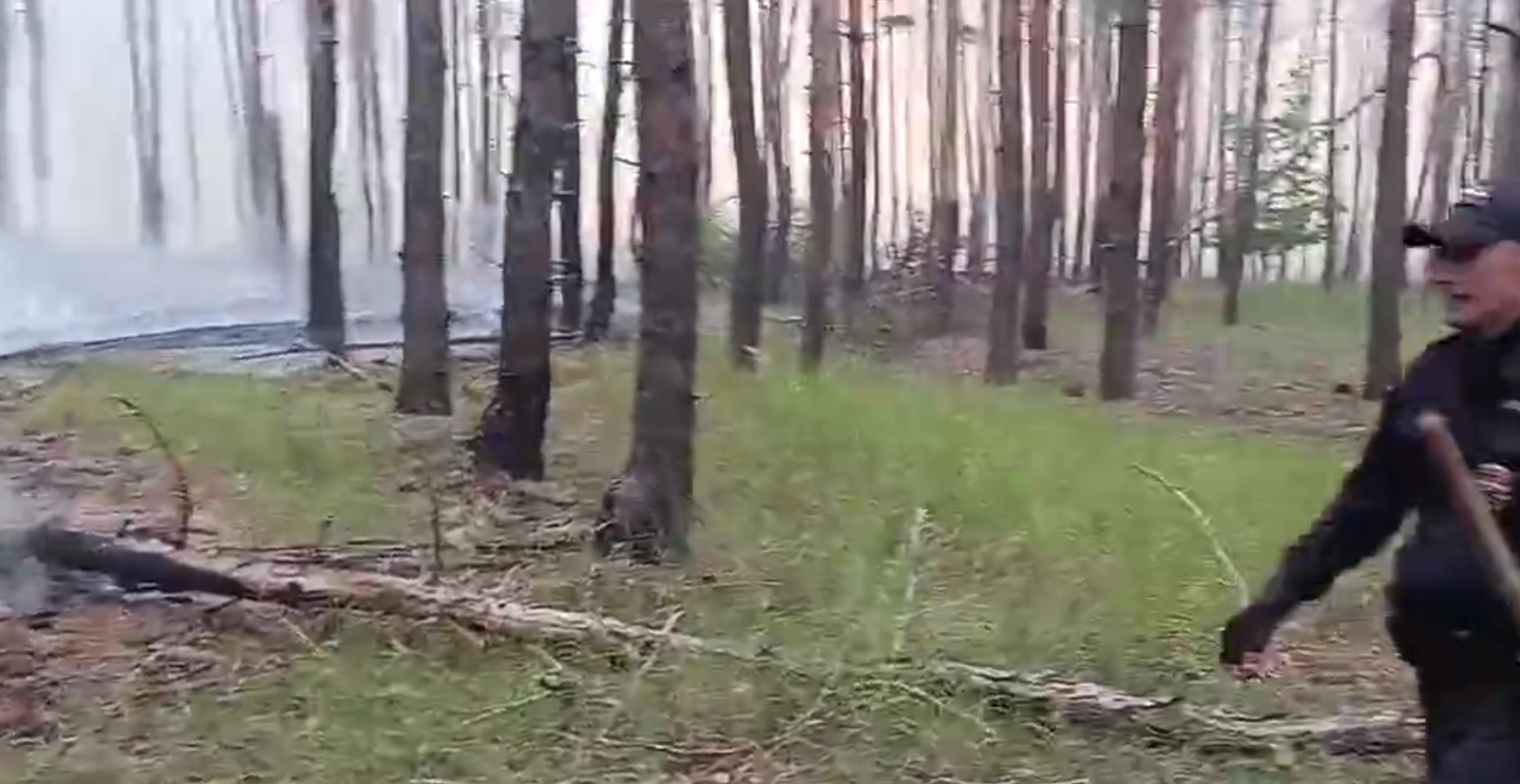 Полицейские ЛНР помогли потушить лесной пожар возле посёлка Боброво
