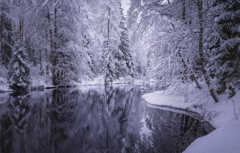 На новогодние праздники петербуржцы поедут в Ленобласть