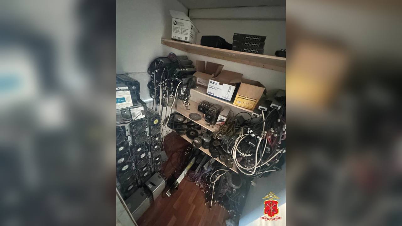 Полиция Петербурга раскрыла незаконную майнинг-ферму с ущербом в 8 млн рублей
