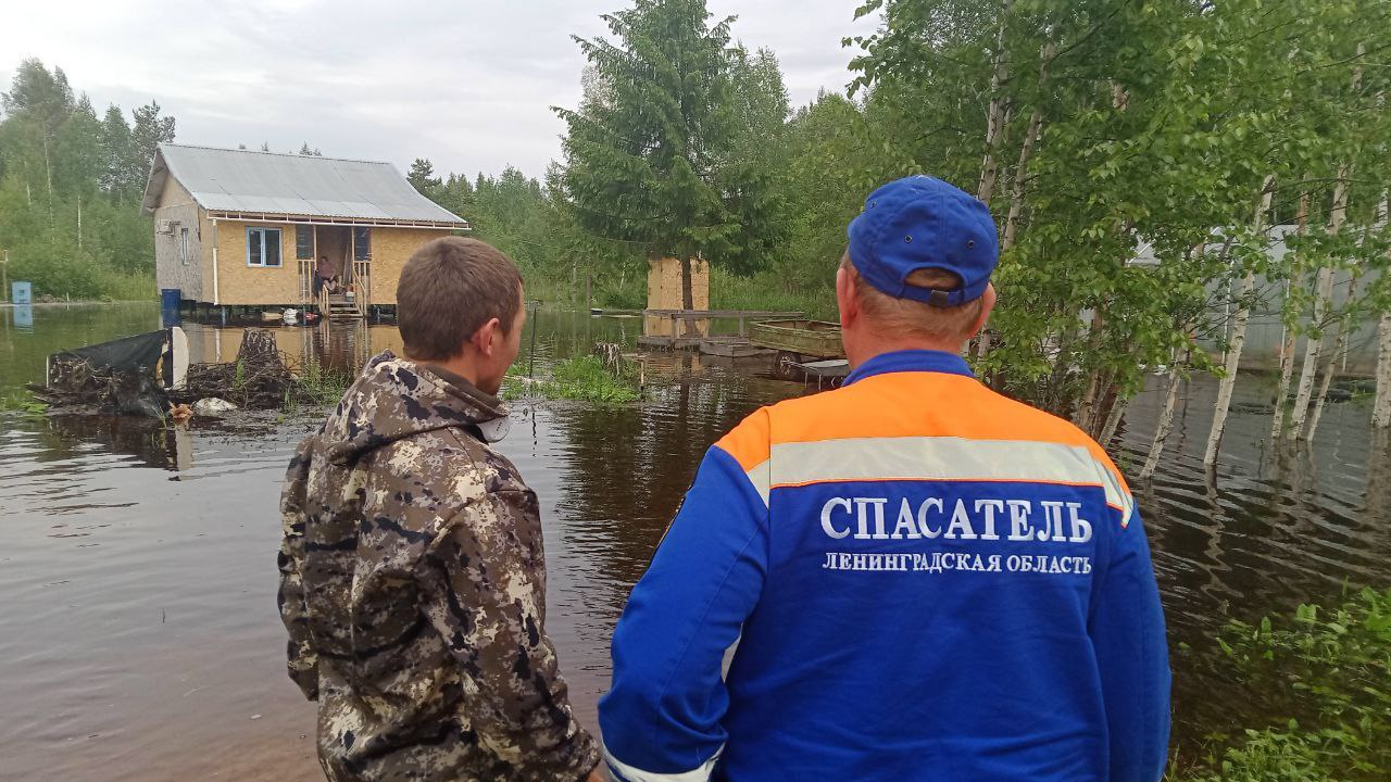 Сколько человек спасли за неделю в Ленобласти