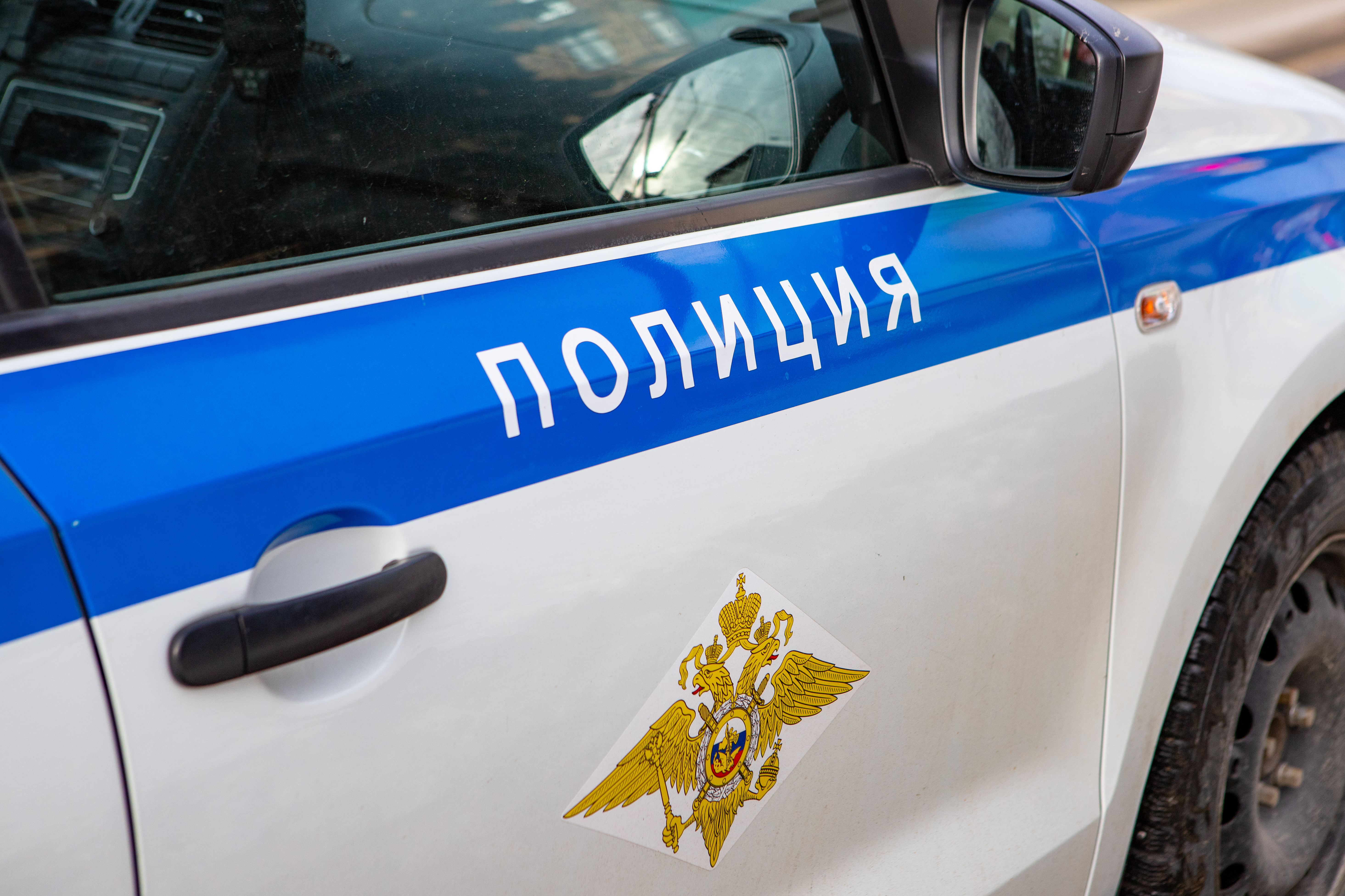 Полиция Петербурга установила личность водителя, силой пытавшегося посадить девушку в авто