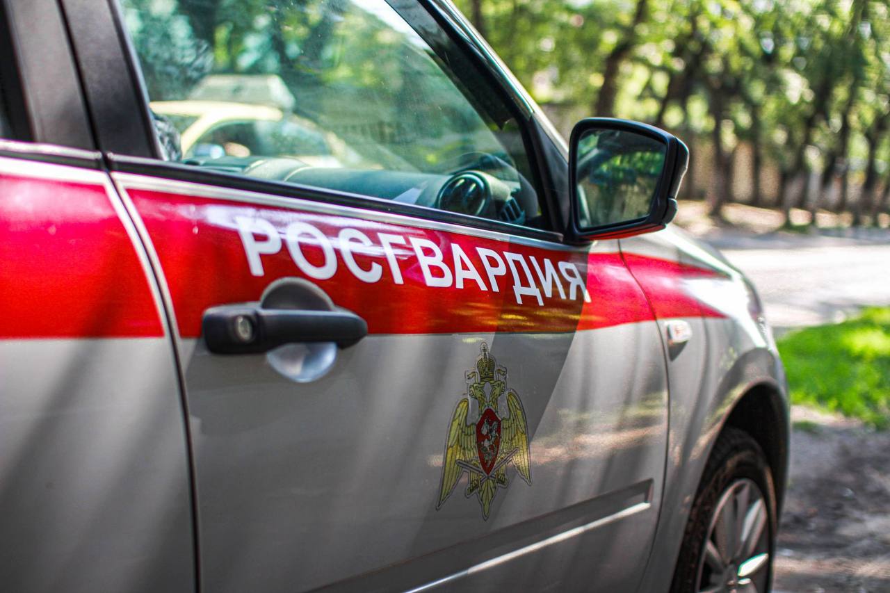 Петербуржец заплатит 4 тысячи рублей за оскорбление сотрудника Росгвардии